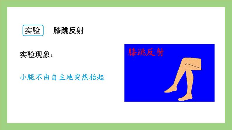 人教版七年级下册生物 4.6.3神经调节的基本方式(课件)04