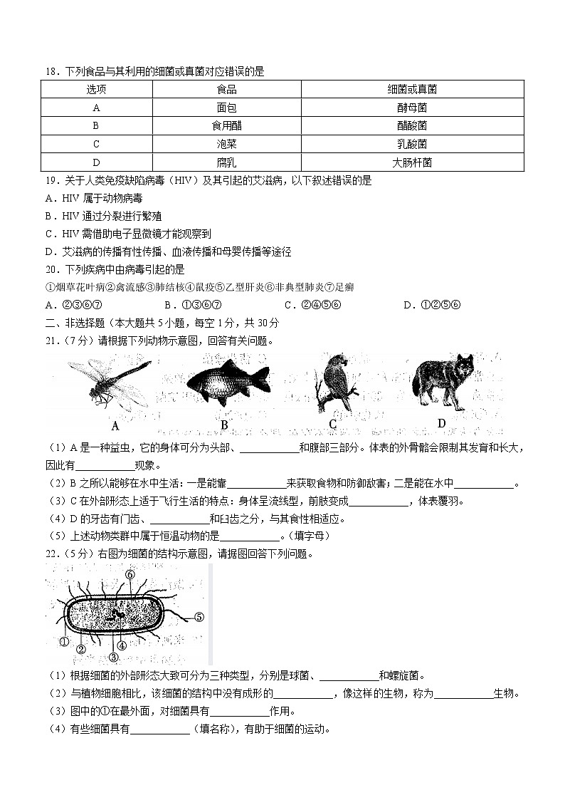 河南省信阳市平桥区2022-2023学年八年级上学期期中生物试题(含答案)第3页