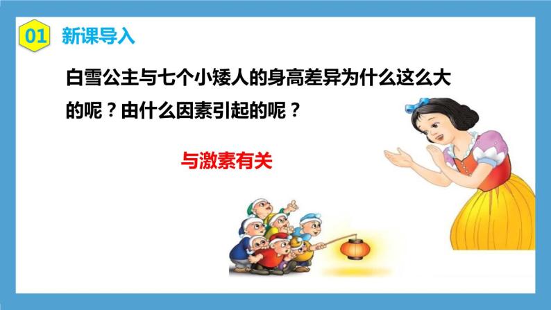 4.6.4《激素调节》课件+教案+习题03