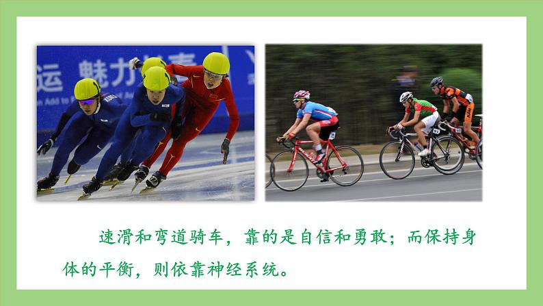 人教版七年级下册生物 4.6.2神经系统的组成(课件)01