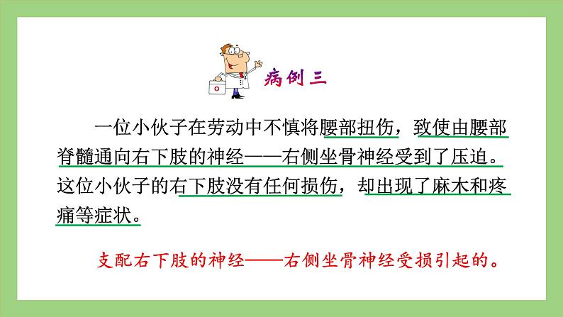 人教版七年级下册生物 4.6.2神经系统的组成(课件)08