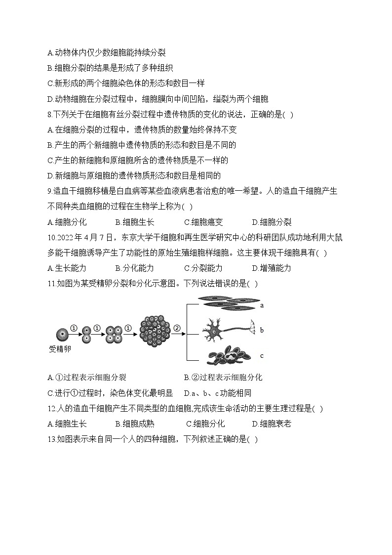 2023届中考生物高频考点专项练习:专题四 考点08 细胞的分裂、生长、分化(B卷)第2页