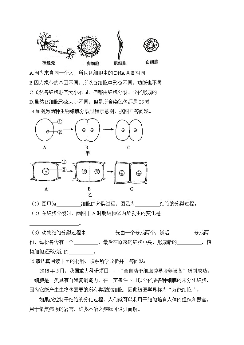 2023届中考生物高频考点专项练习:专题四 考点08 细胞的分裂、生长、分化(B卷)第3页