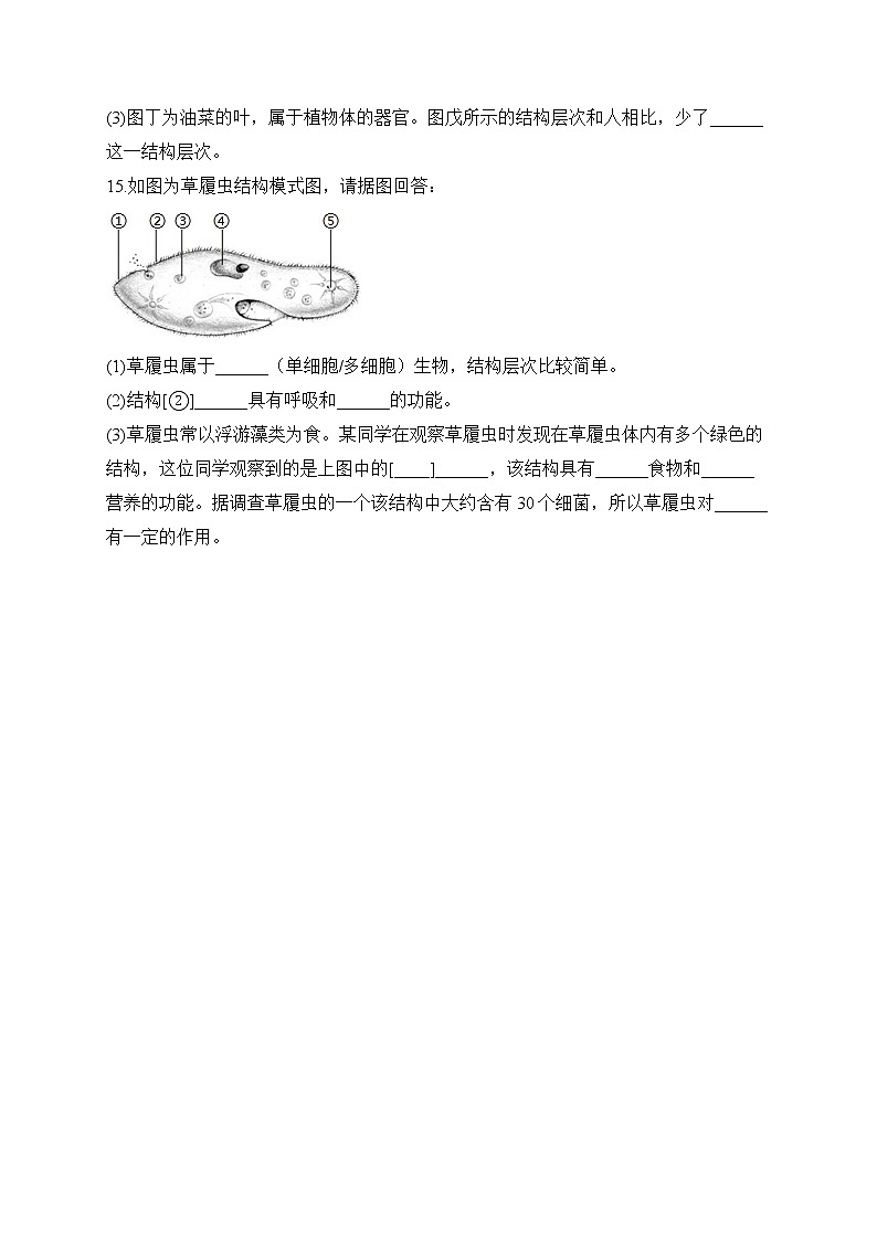 2023届中考生物高频考点专项练习:专题四 综合练习(A卷)第3页