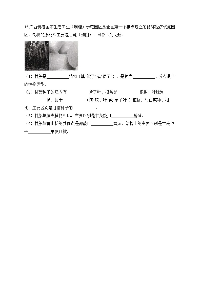 2023届中考生物高频考点专项练习:专题五 考点12 种子植物(A卷)第3页