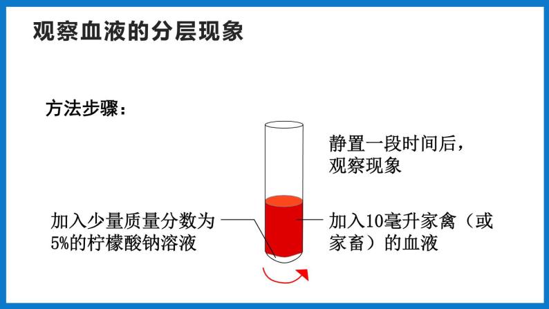 3.3.1物质运输的载体（第1课时）（课件）济南版生物七年级下册05