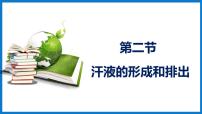 初中生物第二节 汗液的形成和排出图文课件ppt