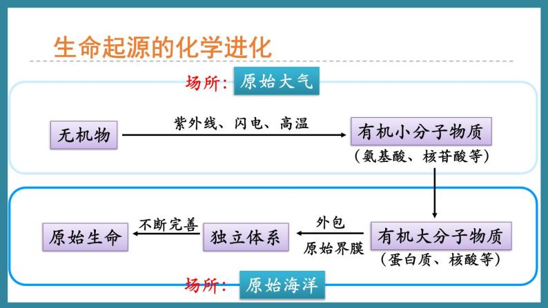 5.1.1生命的起源 （课件）济南版生物八年级下册07