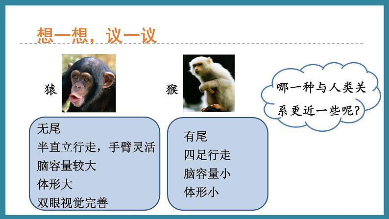 5.2.1人类的起源 (课件)济南版生物八年级下册04