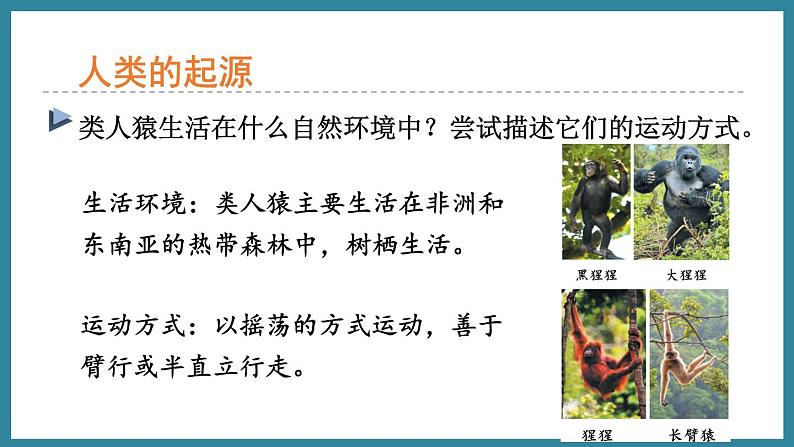 5.2.1人类的起源 (课件)济南版生物八年级下册06