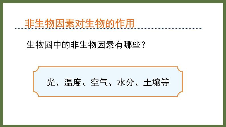 6.1.1环境对生物的作用 (课件)济南版生物八年级下册04