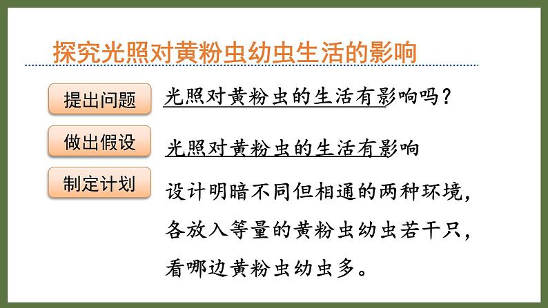 6.1.1环境对生物的作用 (课件)济南版生物八年级下册06