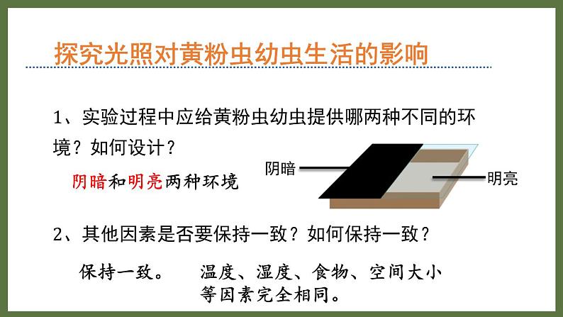 6.1.1环境对生物的作用 (课件)济南版生物八年级下册07