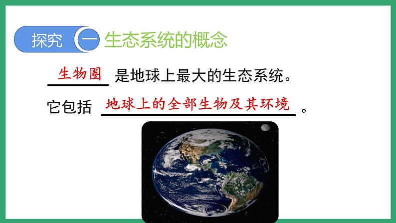 6.2.1生态系统的组成 (课件)济南版生物八年级下册04
