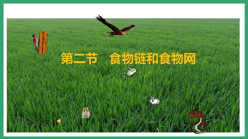 6.2.2食物链和食物网 (课件)济南版生物八年级下册02