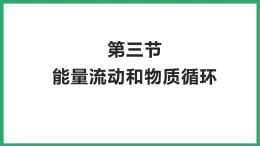 6.2.3能量流动和物质循环 （课件）济南版生物八年级下册