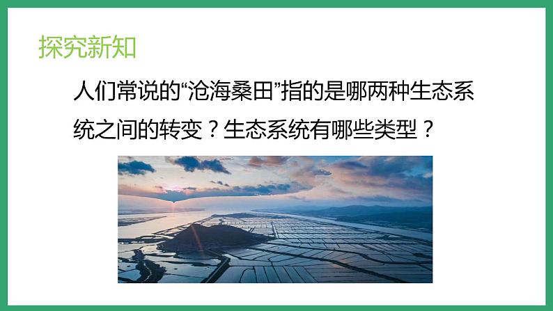 6.2.4生态系统的类型 (课件)济南版生物八年级下册02