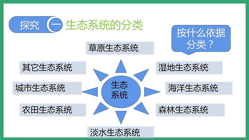 6.2.4生态系统的类型 (课件)济南版生物八年级下册03