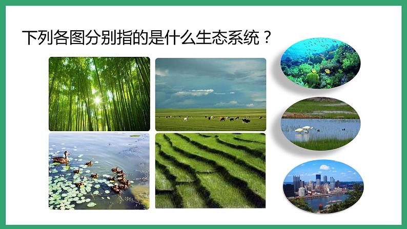 6.2.4生态系统的类型 (课件)济南版生物八年级下册07