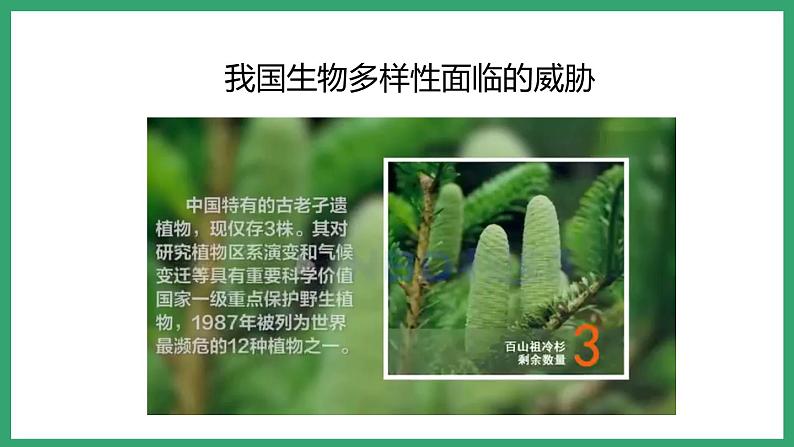 6.3.2生物多样性的保护 (课件)济南版生物八年级下册02