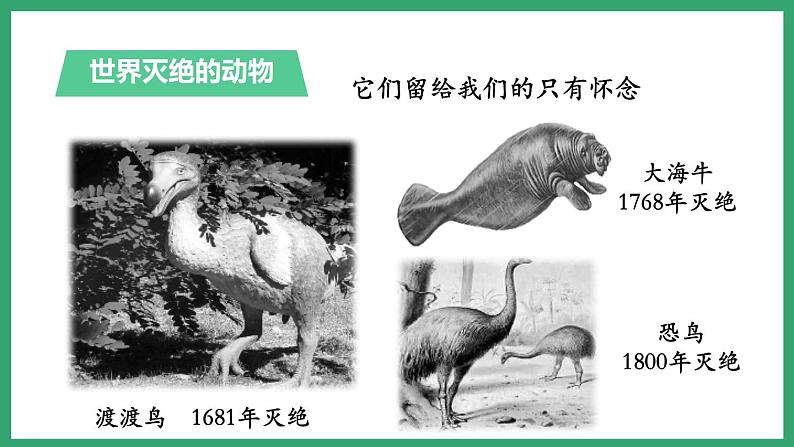6.3.2生物多样性的保护 (课件)济南版生物八年级下册06