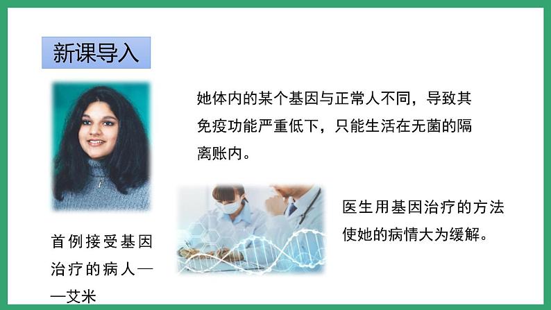 7.2.1基因工程 (课件)济南版生物八年级下册第2页