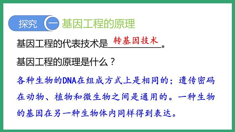 7.2.1基因工程 (课件)济南版生物八年级下册第4页