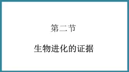 5.1.2生命进化的证据 （课件）济南版生物八年级下册