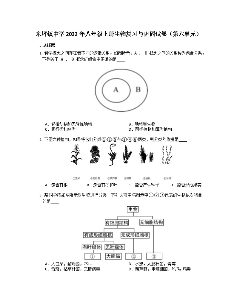 2022年东坪镇中学八年级上册生物复习与巩固试卷(第六单元)01