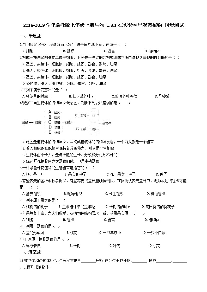 冀教版七年级上册生物 1.3.1在实验室里观察植物 同步测试与解析第1页