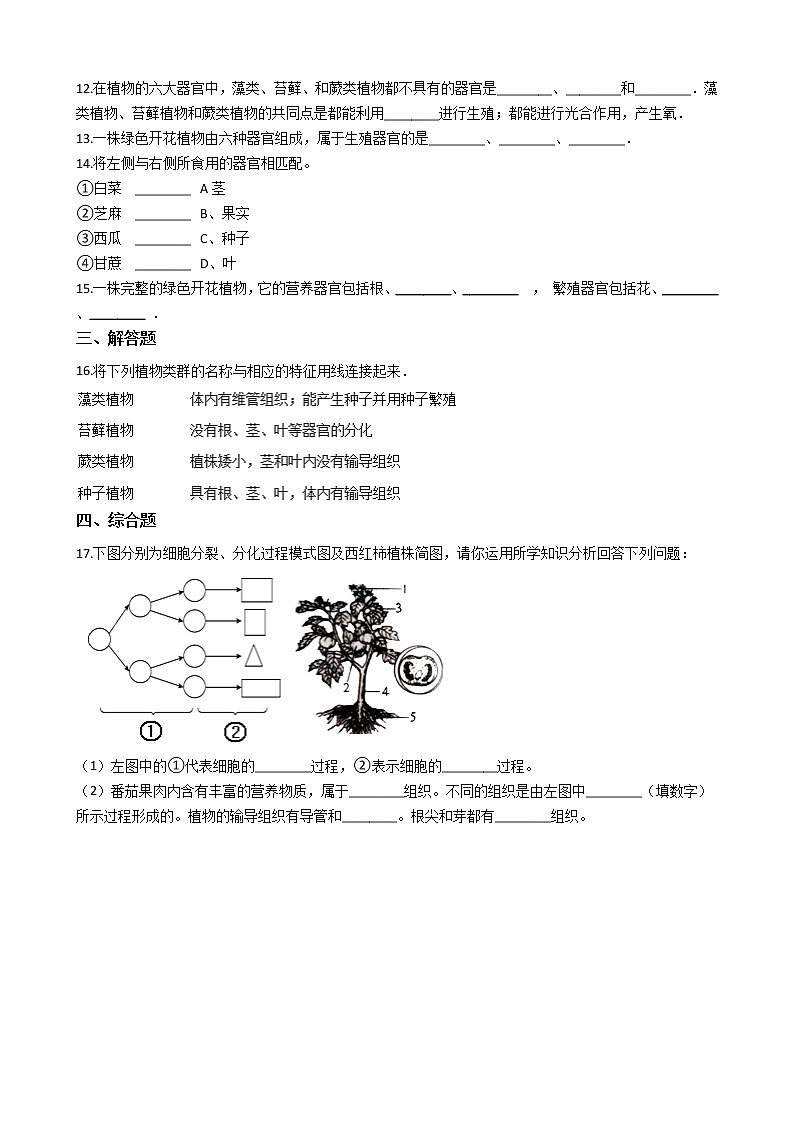 冀教版七年级上册生物 1.3.1在实验室里观察植物 同步测试与解析第2页