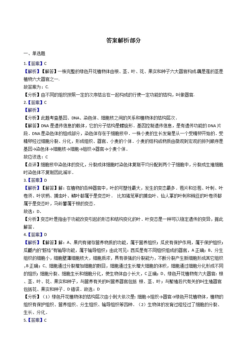 冀教版七年级上册生物 1.3.1在实验室里观察植物 同步测试与解析第3页
