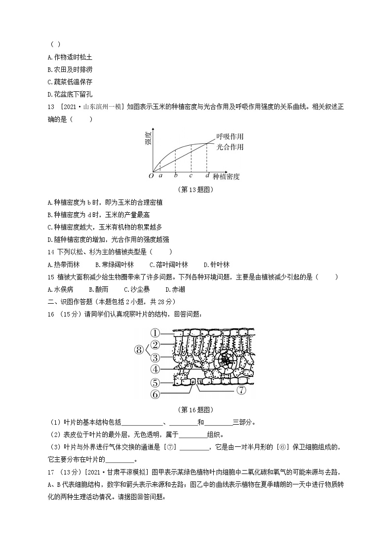 人教版生物七上 第三单元第三~六章测试卷(含答案)03