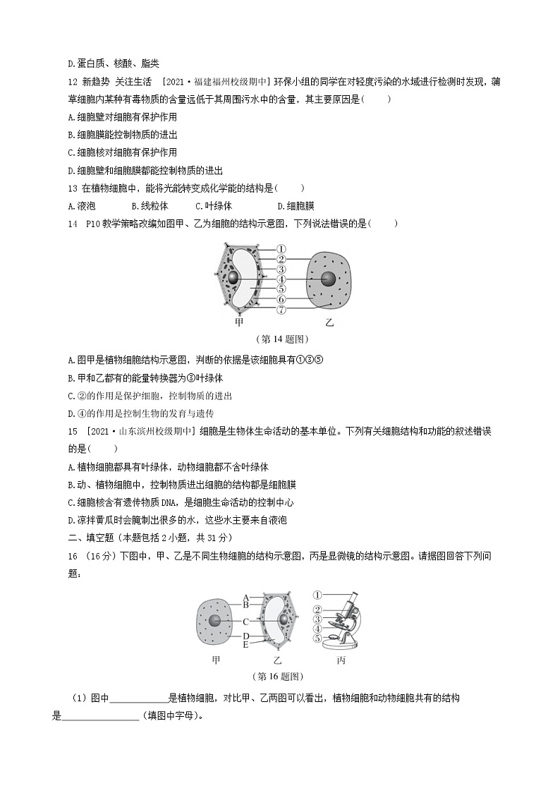 人教版生物七上 第二单元第一章测试卷(含答案)03
