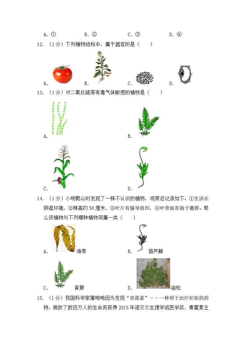 人教版生物七上 期中测试卷 (3)(含答案)第3页