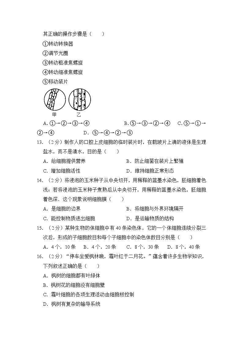 人教版生物七上 期中测试卷 (8)(含答案)第3页