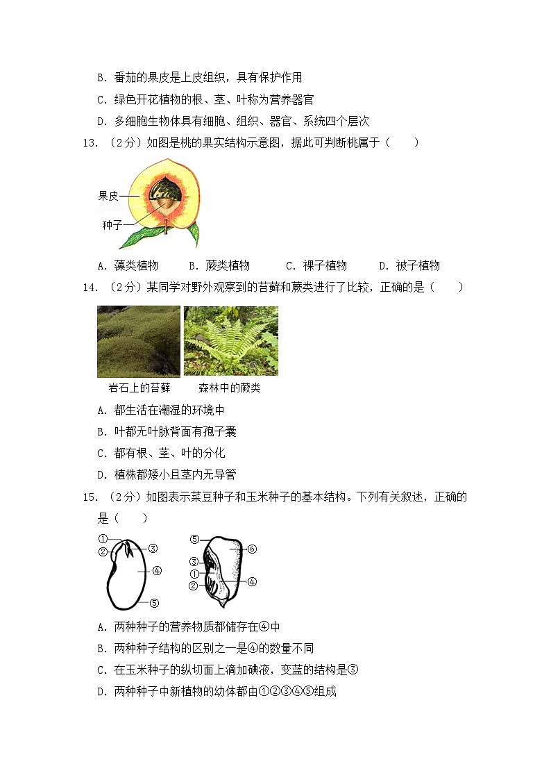 人教版生物七上 期末测试卷 (8)(含答案)03