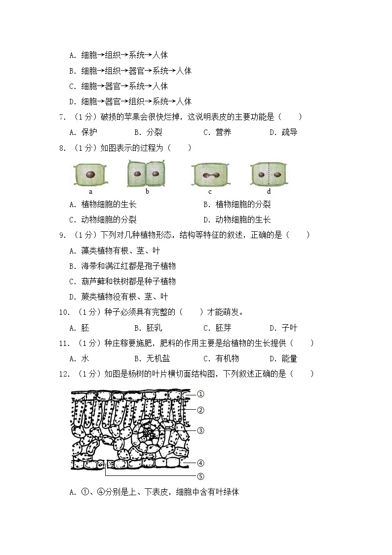 人教版生物七上  期末测试卷  (9)（含答案）02