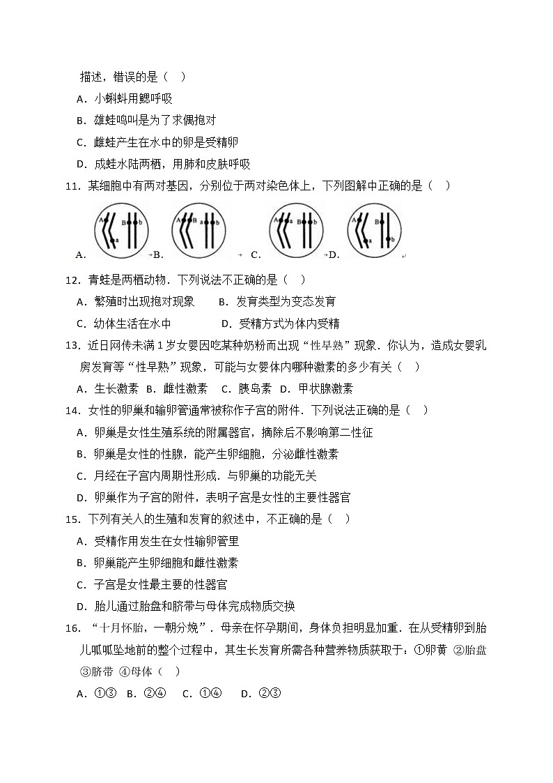 人教版生物八上 期中测试卷7(含答案)第2页
