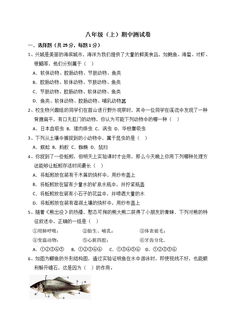 人教版生物八上 期中测试卷8(含答案)第1页