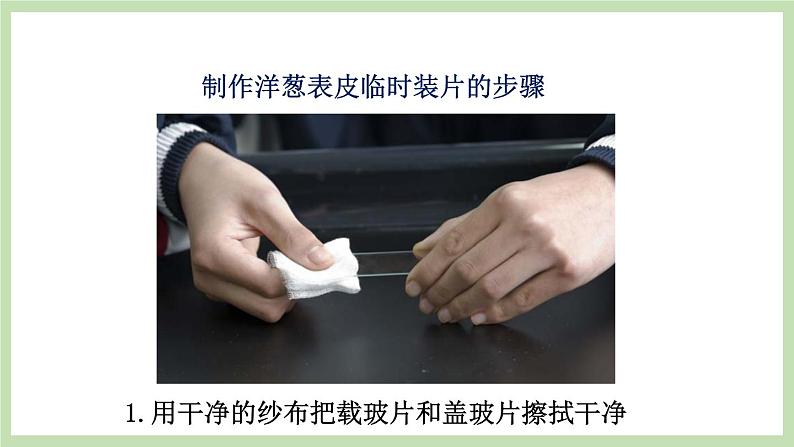 1.2.1细胞的结构和功能 课件 济南版生物七年级上册第5页