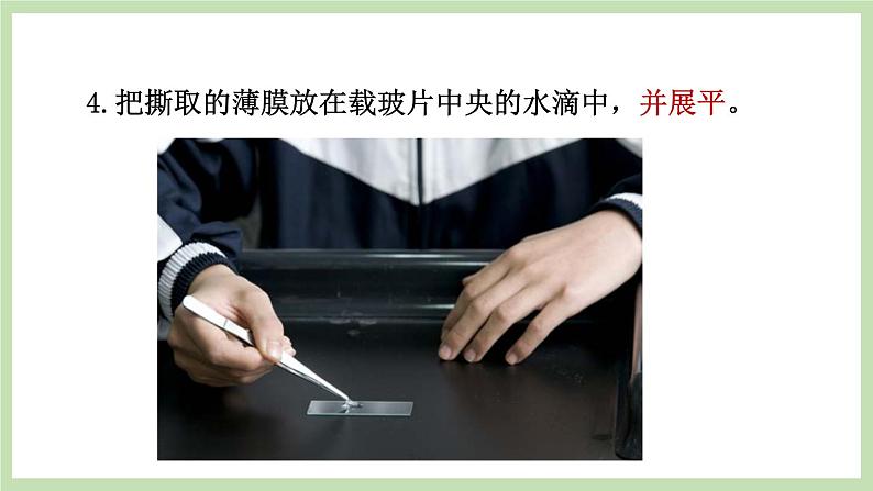1.2.1细胞的结构和功能 课件 济南版生物七年级上册第8页