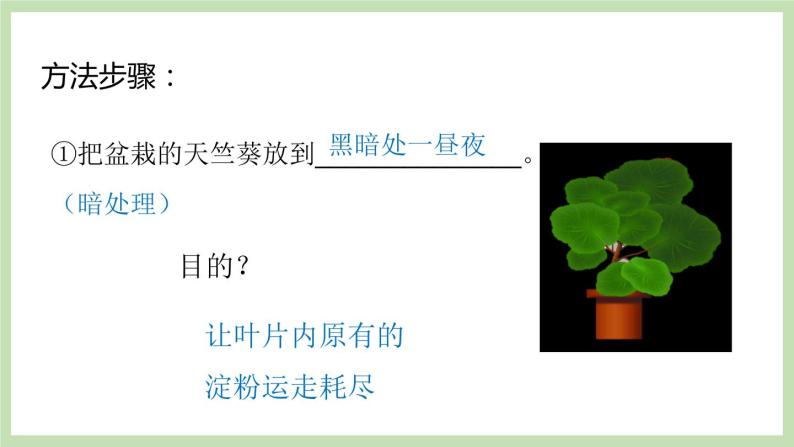 2.1.3绿色植物的光合作用 第1课时 课件 济南版生物七年级上册06