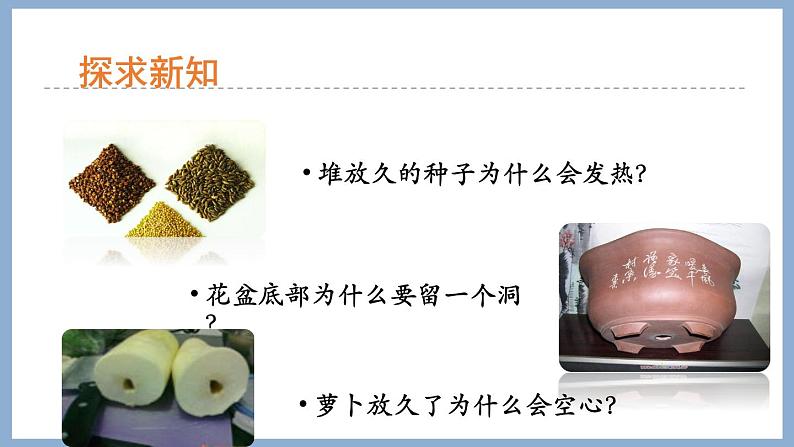 2.1.4绿色植物的呼吸作用 课件 济南版生物七年级上册第3页