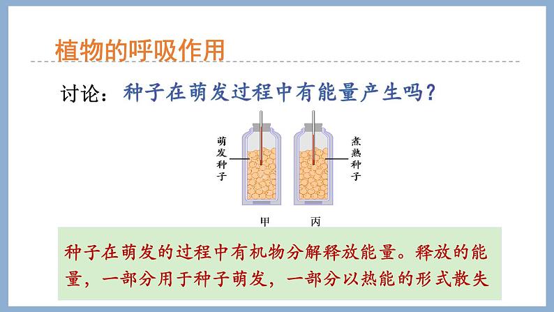 2.1.4绿色植物的呼吸作用 课件 济南版生物七年级上册第7页
