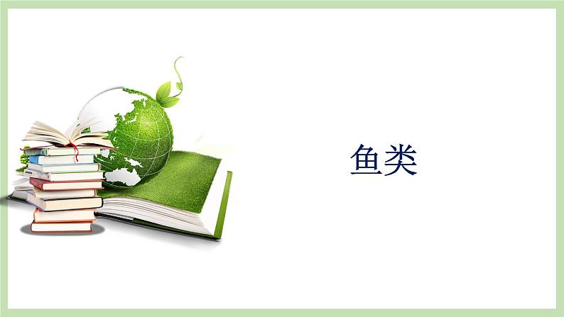 2.2.2 脊椎动物的主要类群 第1课时 课件 济南版生物七年级上册第1页