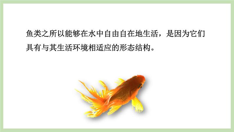 2.2.2 脊椎动物的主要类群 第1课时 课件 济南版生物七年级上册第4页