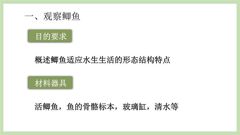 2.2.2 脊椎动物的主要类群 第1课时 课件 济南版生物七年级上册第5页