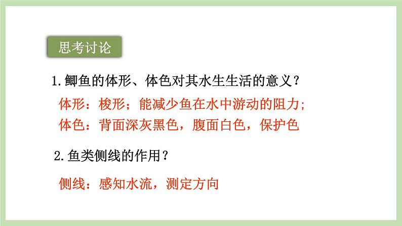 2.2.2 脊椎动物的主要类群 第1课时 课件 济南版生物七年级上册第7页
