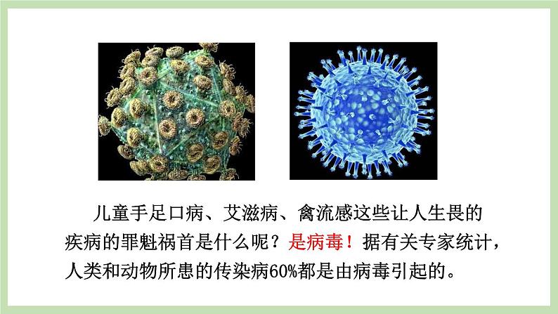 2.3.1病毒 课件 济南版生物七年级上册第2页